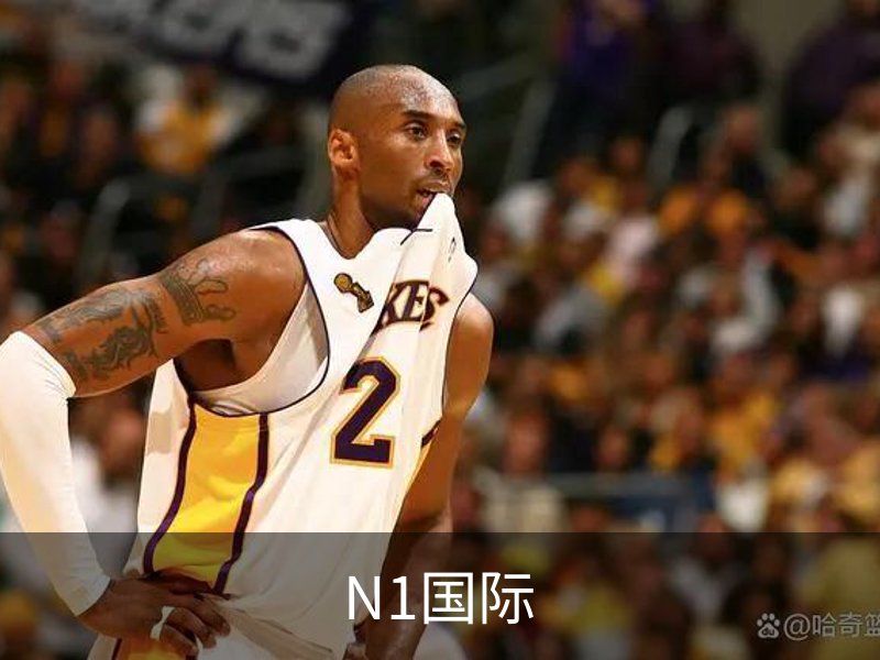 N1国际介绍